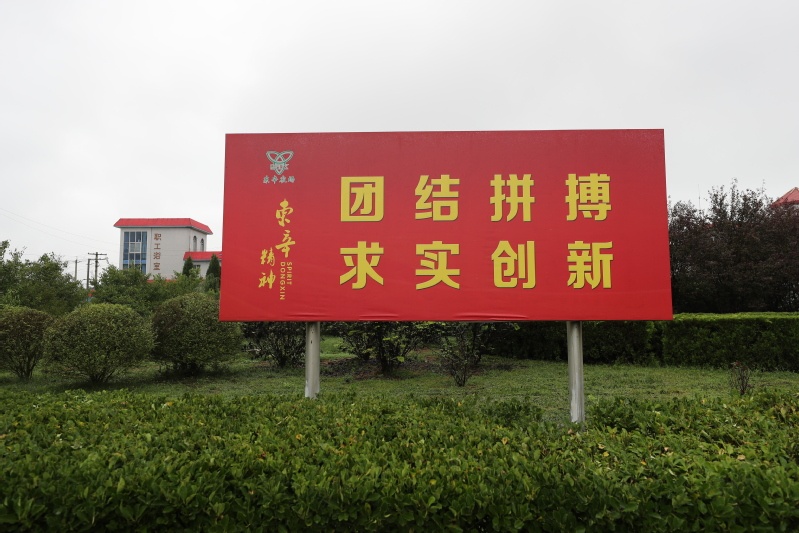 东辛“犁文化”犁出一片新天地