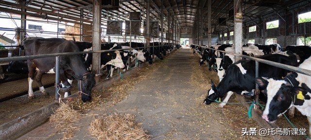 牛价格下跌为什么牛肉还那么贵,为何牛价跌而牛肉价不跌