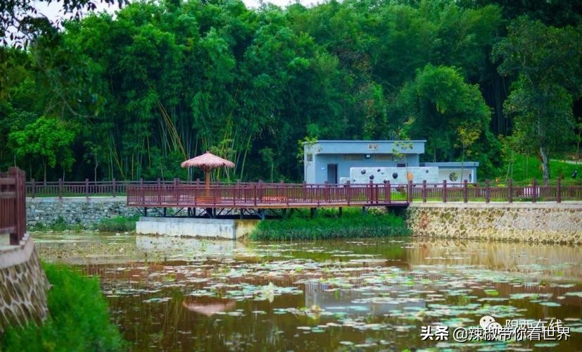 海岸线：邂逅*江阳**——感受这座慢节奏小城文化底蕴感悟人文之美