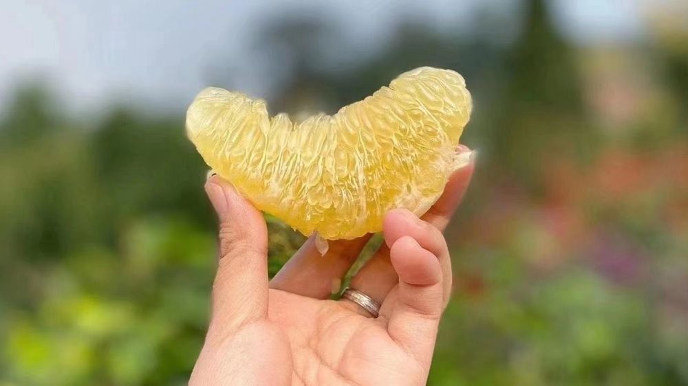 现在开水果店如何,开水果店时如何选择进货价格