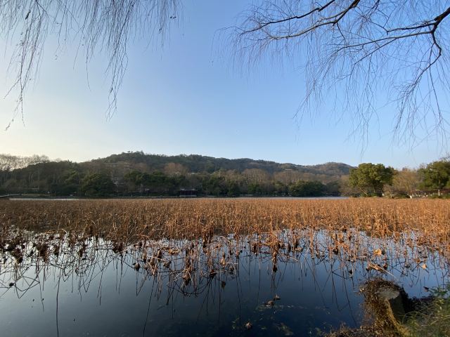 杭州周边赏秋好去处,杭州赏秋最佳攻略