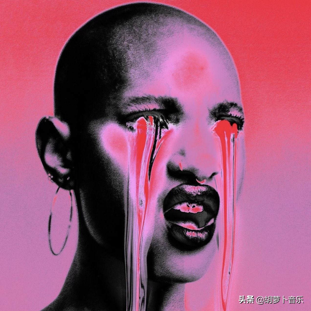 katebush目前样子,katebush水平