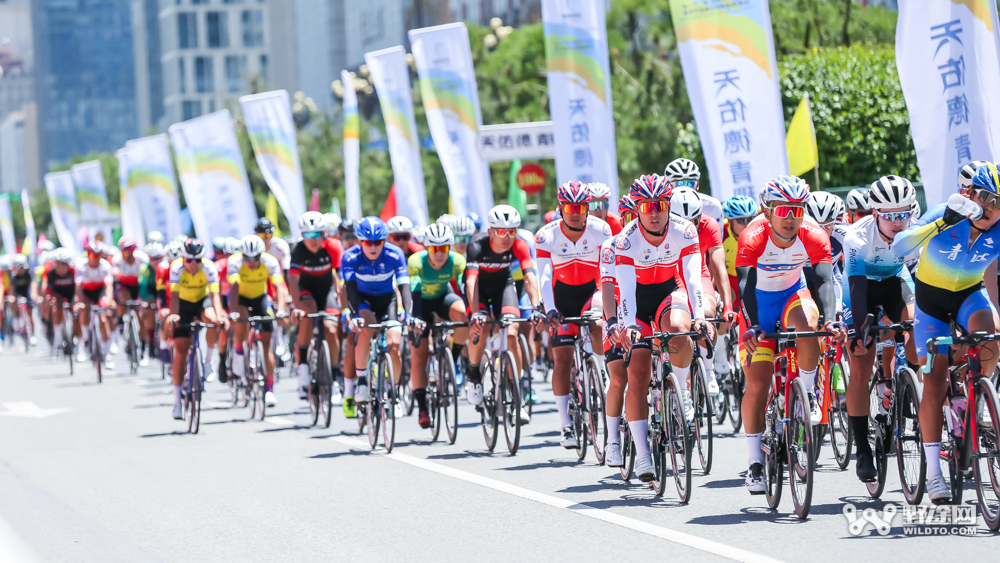 回归与升级2023环湖赛车队完整名单出炉