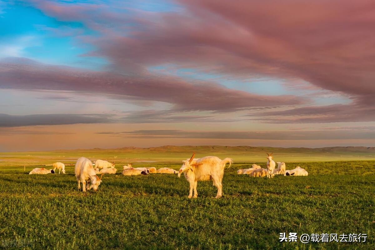 适合夏天避暑的旅游胜地,漳州夏天避暑景点