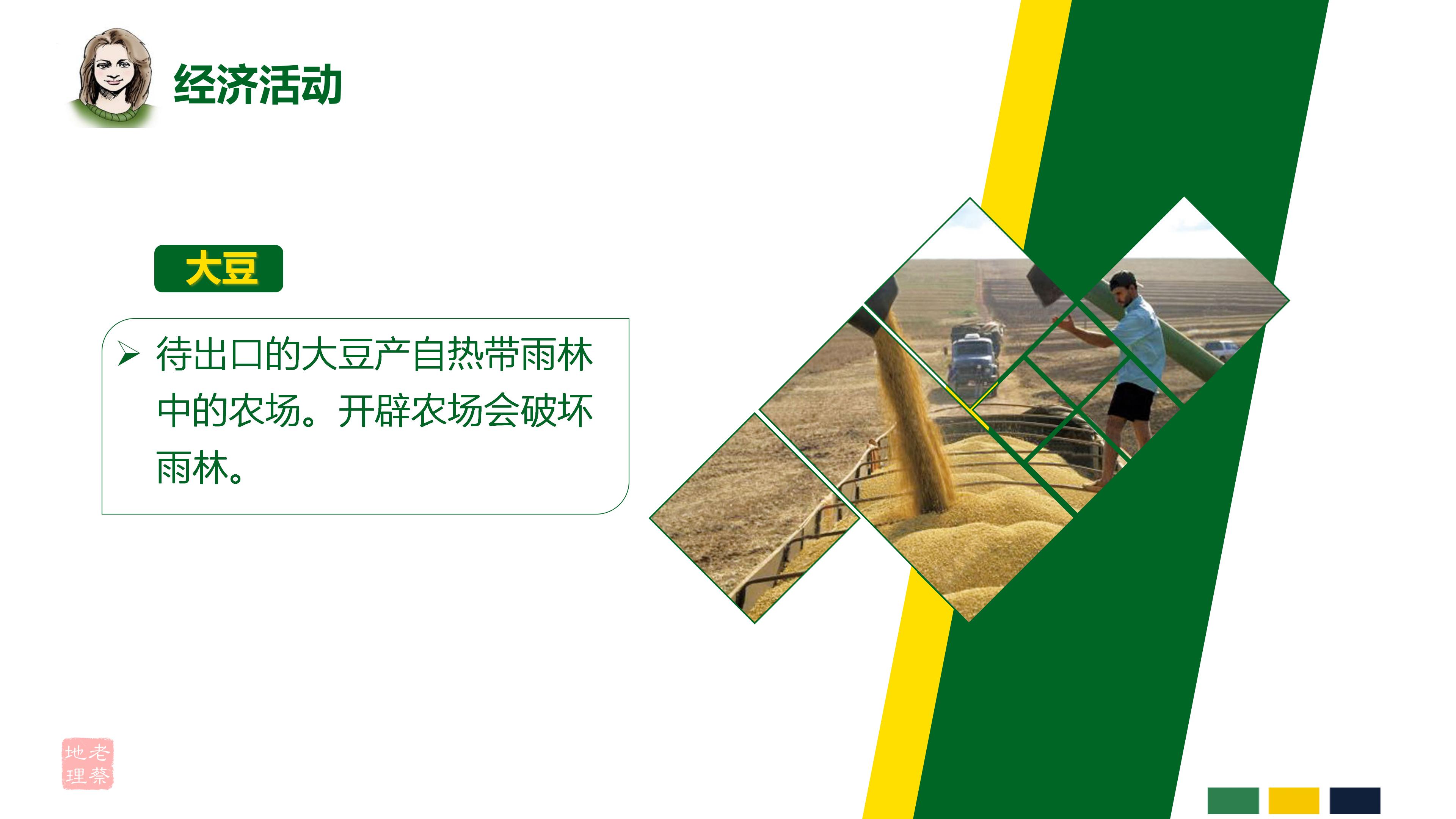 初中地理巴西知识点思维导图,七年级下册地理巴西教案人教版