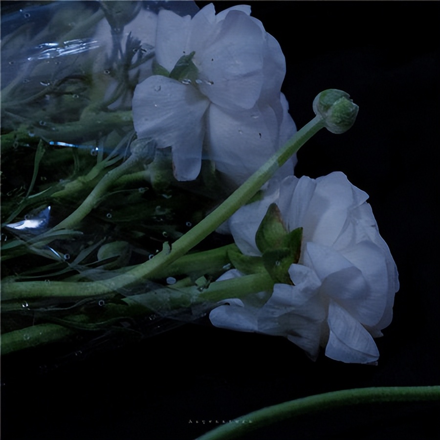 特别落寞沮丧的的背景图,适合朋友圈背景图片孤独