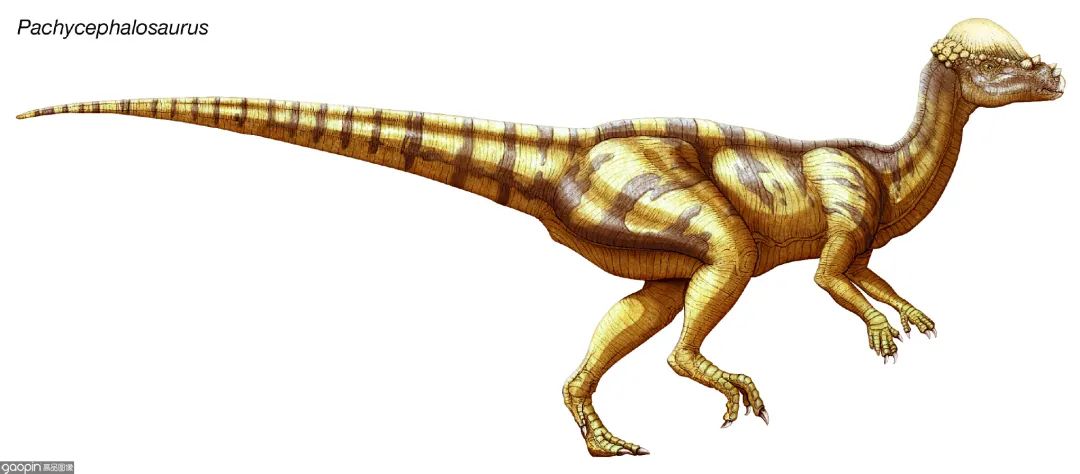 侏罗纪世界进化3恐龙打架,恐龙电影侏罗纪3