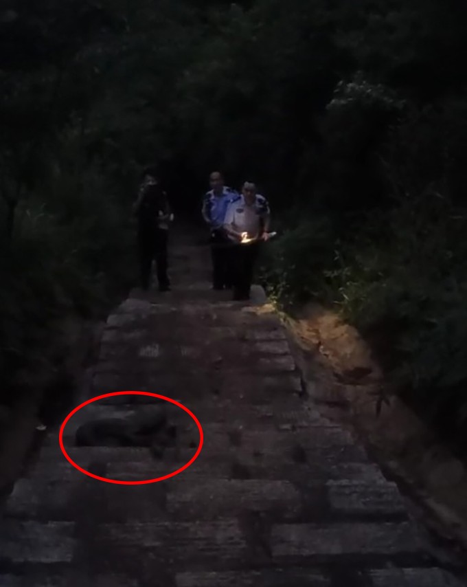 蛇为什么在一个地方不走,蛇为什么靠边走