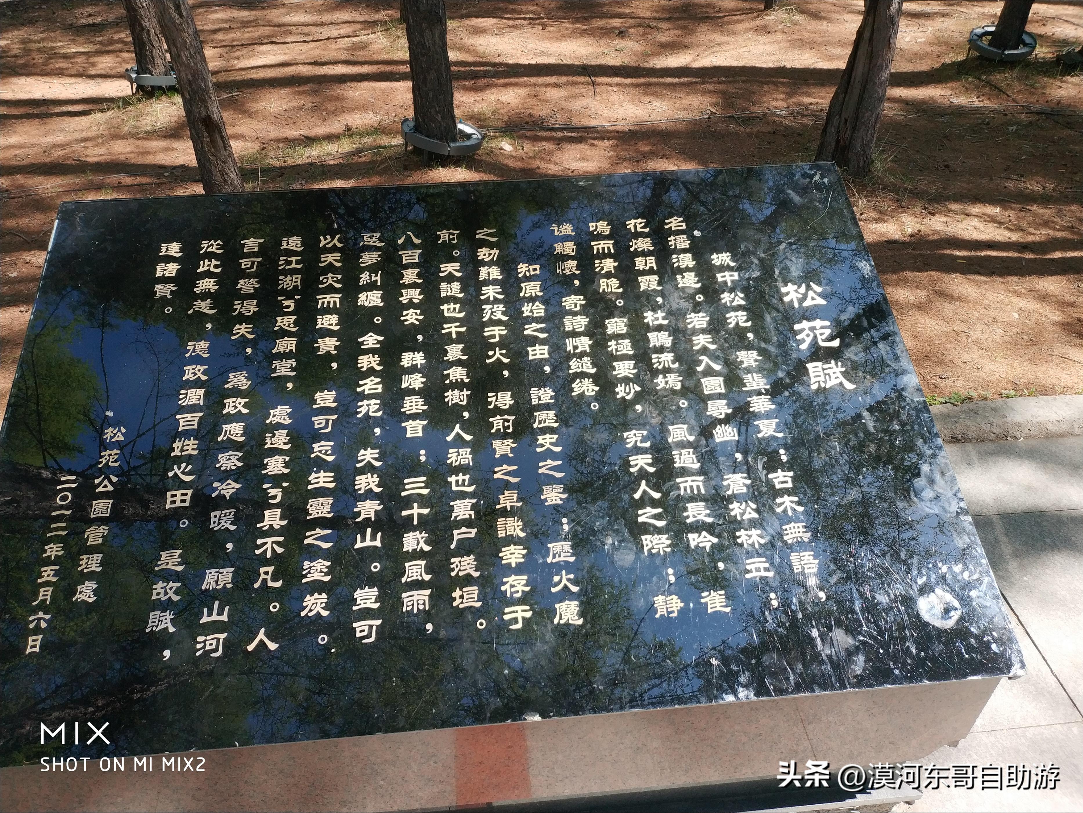 带你去看杜鹃花完整版,漠河旅游攻略一览表