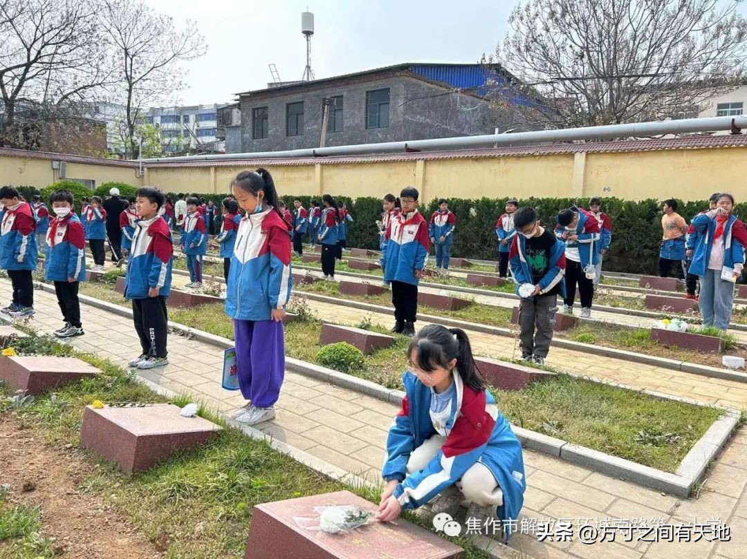 我们的节日清明主题活动情况汇报,我们的节日清明节活动开展情况
