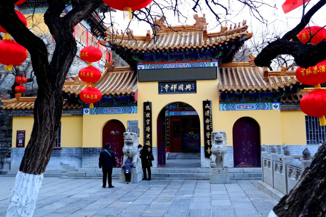 2023泉城新春贺年会来啦!灯会庙会游园会统统都有