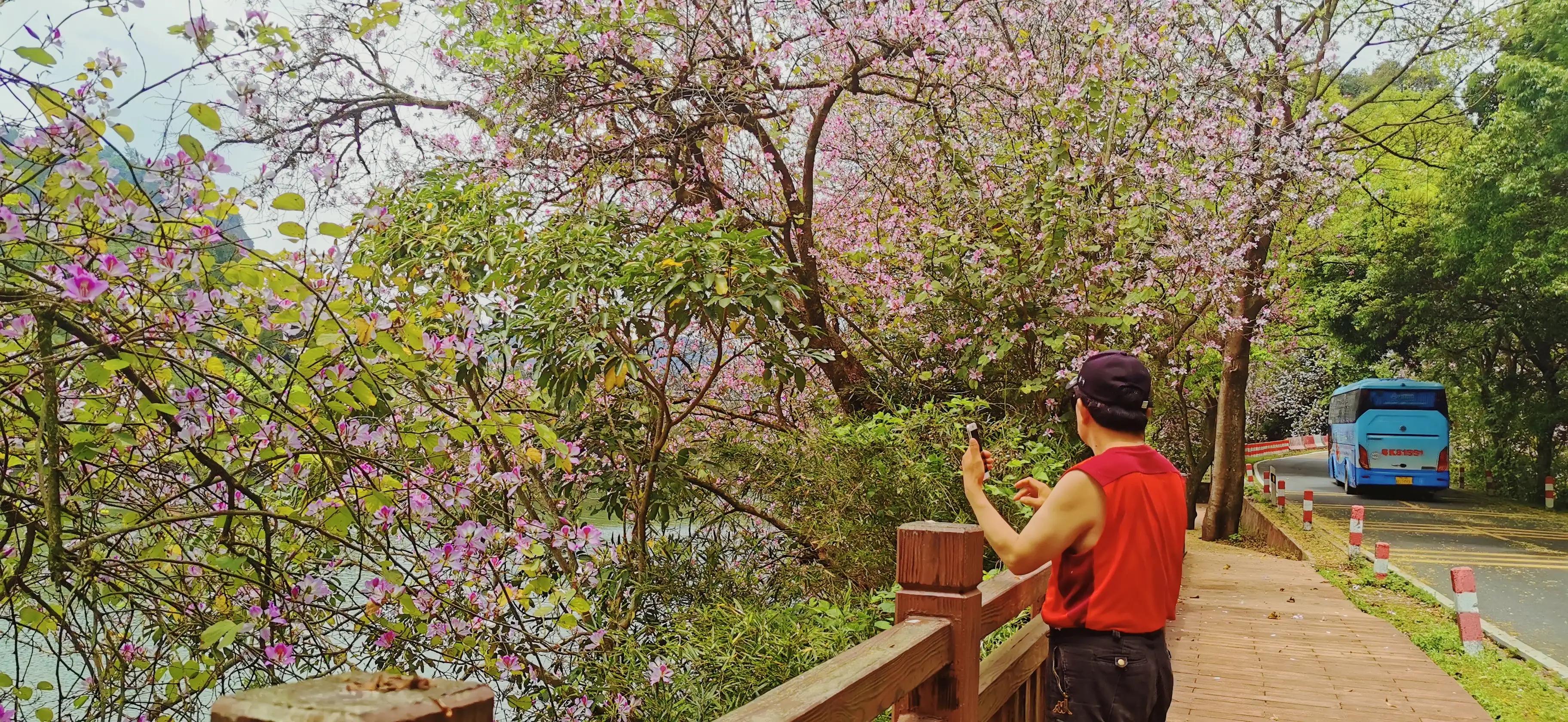 一人一车自驾游装备,两辆车自驾游需要带什么装备