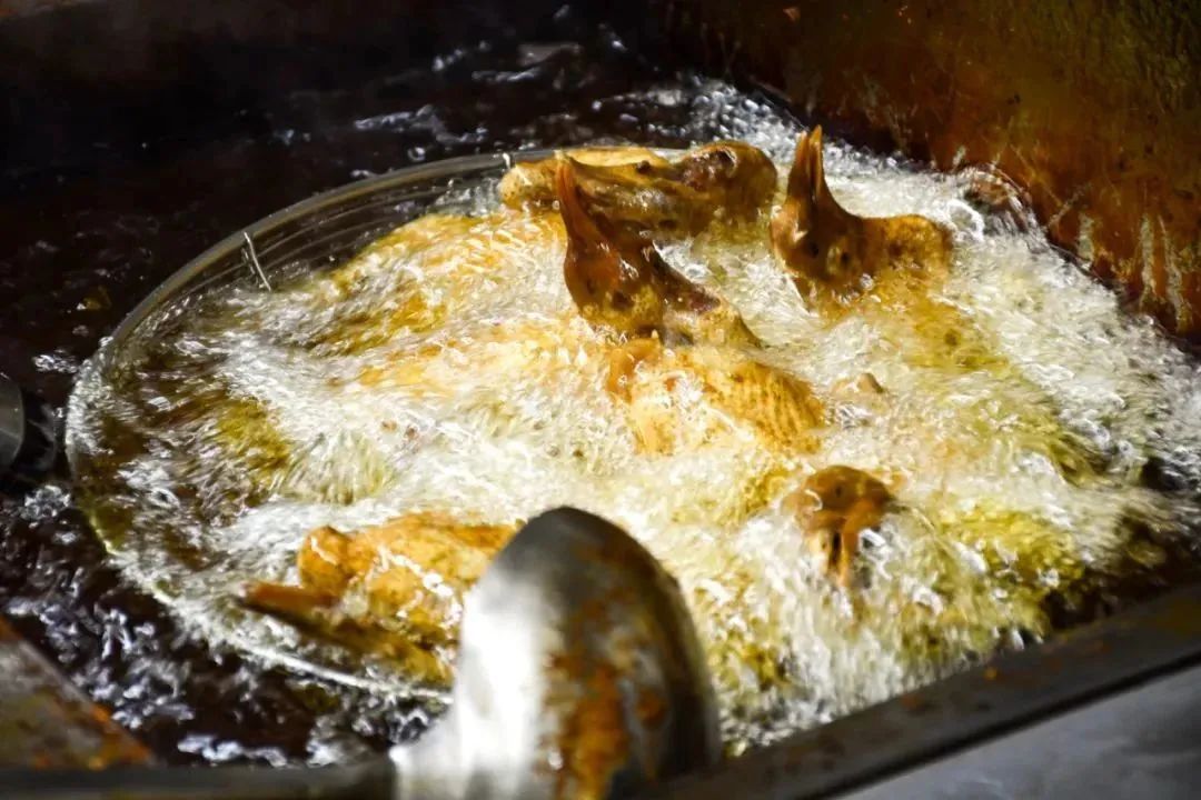 端午假期光明活动超精彩！音乐live、摘荔枝、包粽子……等你解锁！