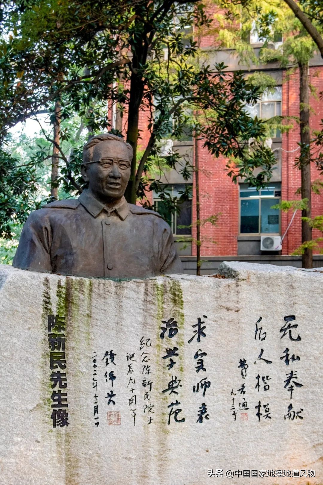 中南大学中南矿冶学院,中南是哪个大学