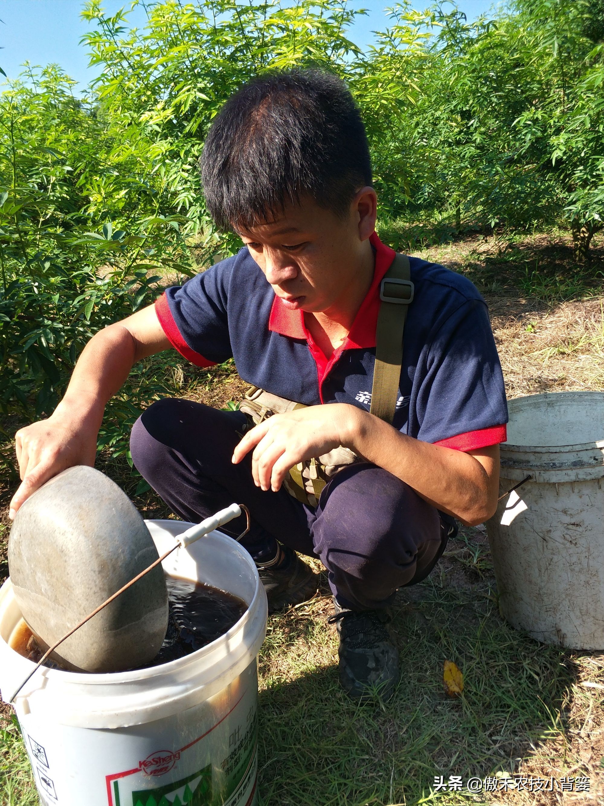 发酵微生物菌剂需要什么原料,微生物菌剂是什么怎么自己制作