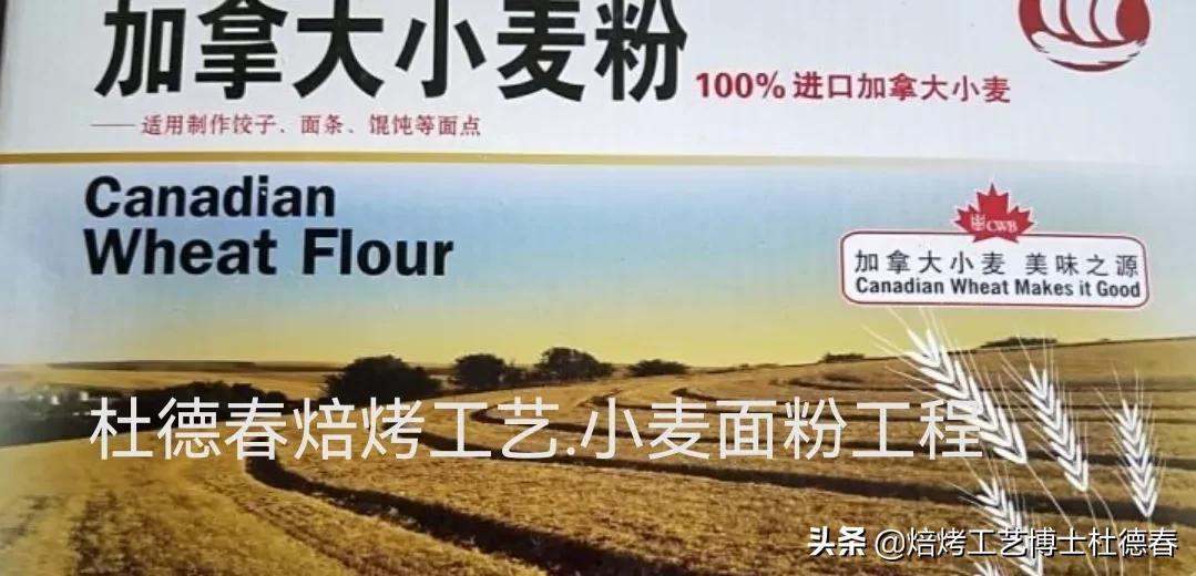 做面包饺子用什么面粉,做水饺馒头用什么面粉最好