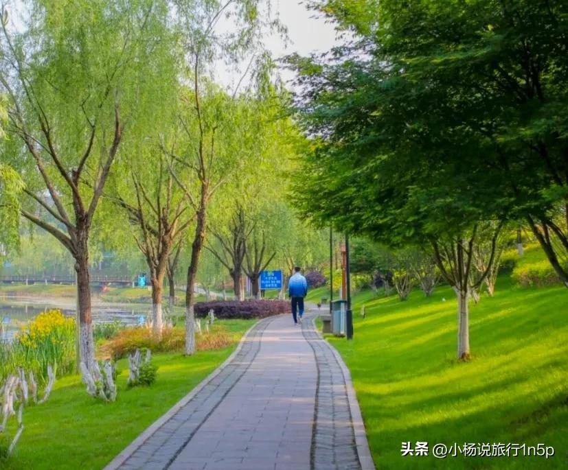 涔変箤鑾插鍏洯,涔変箤鑾插鍏洯鐜扮姸