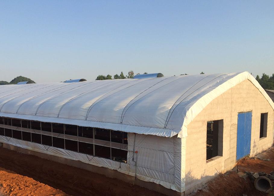 东方融资网:有梦想什么时候出发都不晚,51岁大叔圆梦养殖场