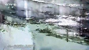 独生女惨死25年，做15次试管、被骗上千万，她是怎么熬过来的…