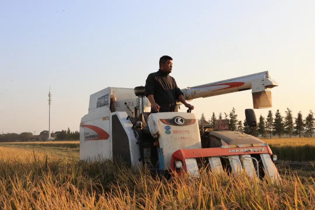 外冈镇：活力涌动，“睿”不可挡