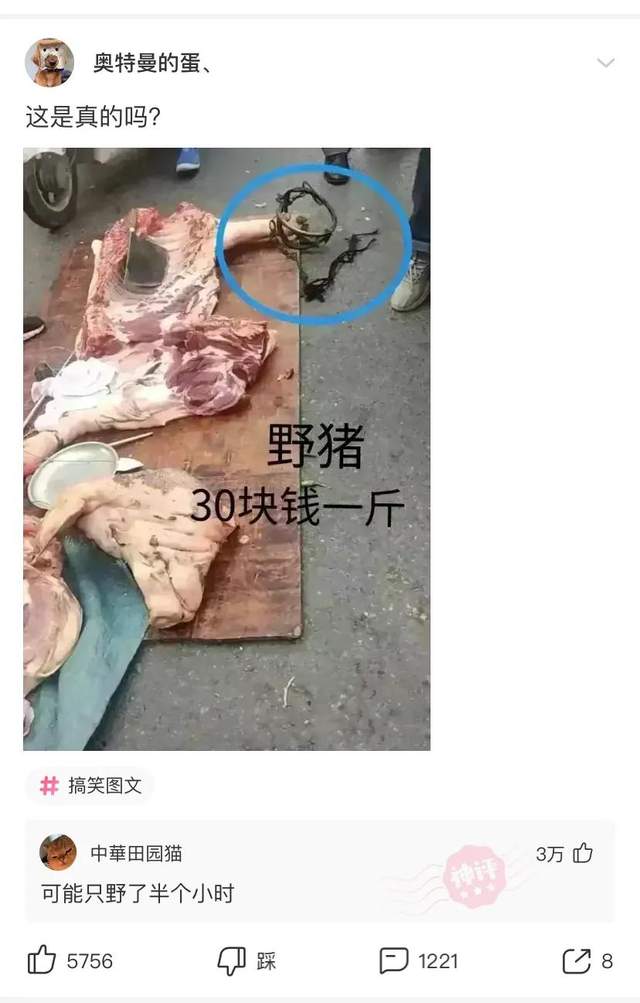 脚气脚臭挂什么科,脚臭看医生挂什么科
