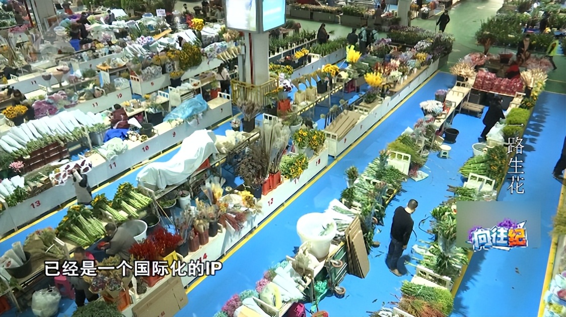 盘点人们都向往的工作,向往的工作和现实的工作