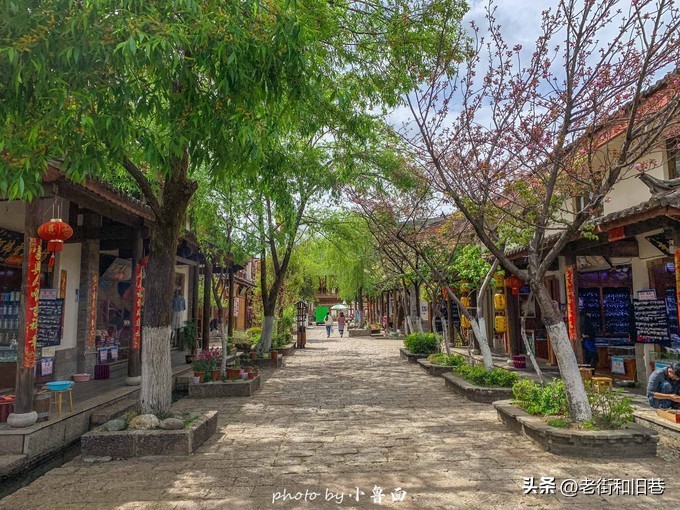 玩转云南自由行,昆明大理丽江6天5晚游多少钱