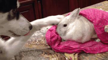 妹子注意点吧，你这姿势太不雅观了，在公共场合还是收敛点吧。