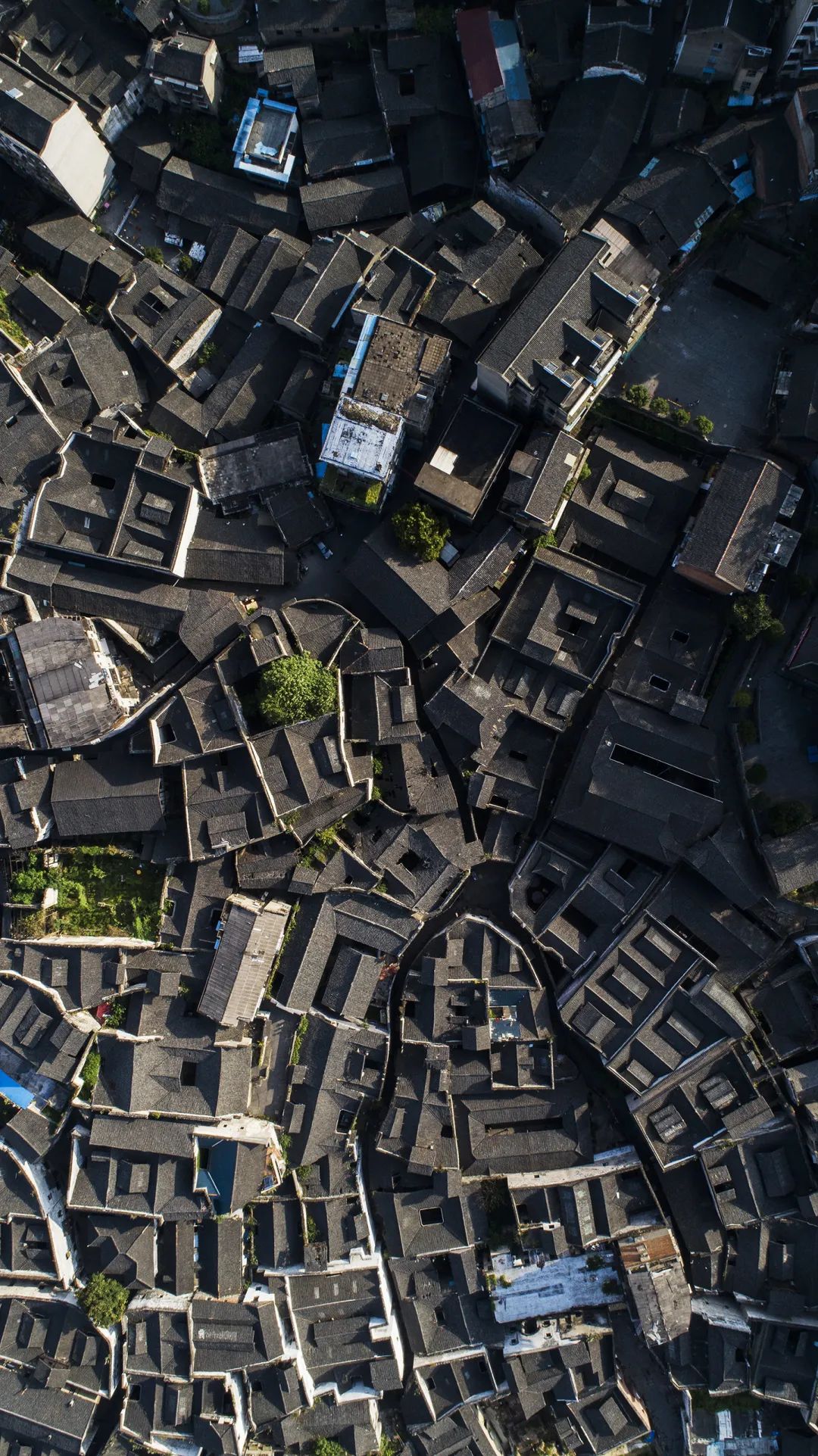 鍘嗗彶涓婇粍閲戠殑鍓嶄笘浠婄敓,榛勯噾姘撮亾鍘嗗彶浜ゆ槗鏁版嵁