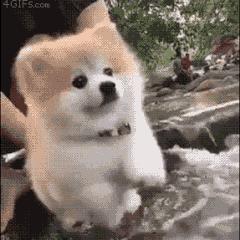 岳阳玩水旅游攻略,岳阳夏天旅游推荐