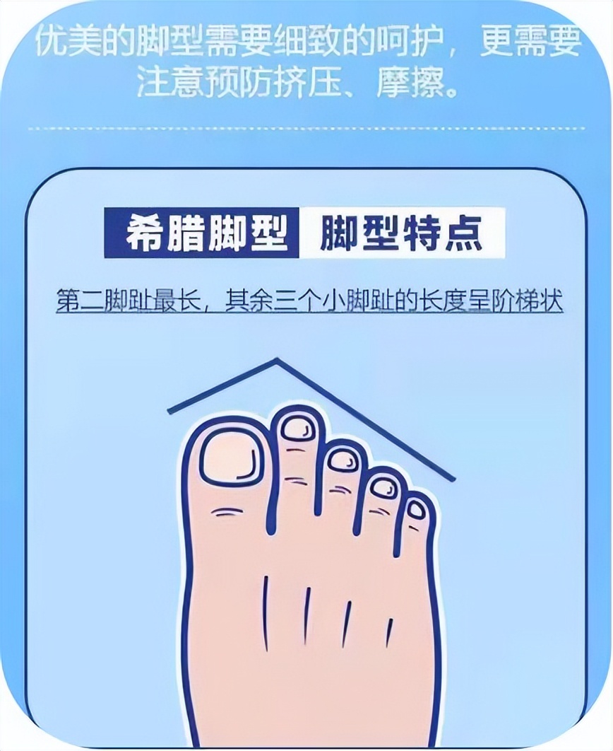 脚型对应相应的鞋型,脚型鞋子参考