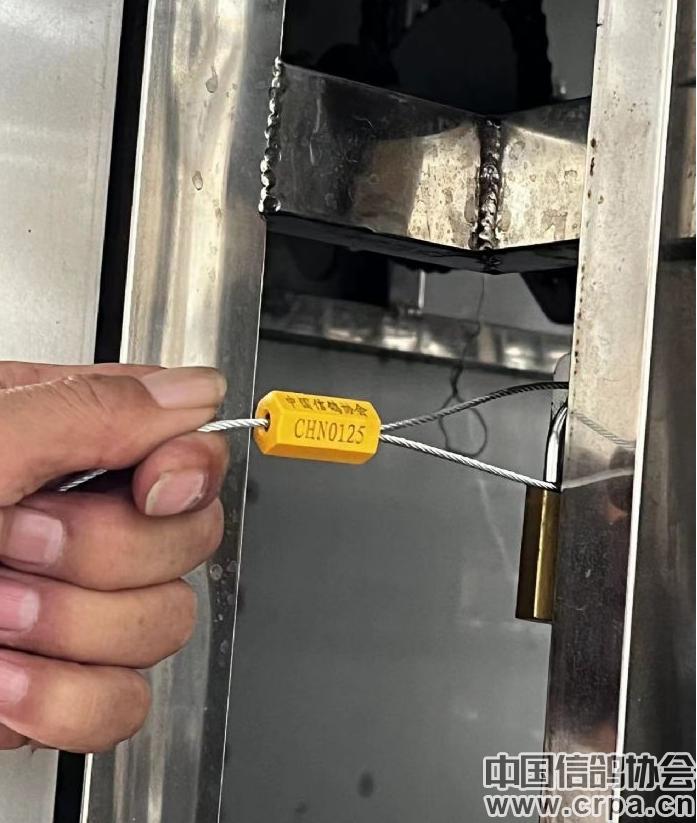 高分速高归巢！“世界杯”唐山阳光站第四关500公里比赛圆满收官