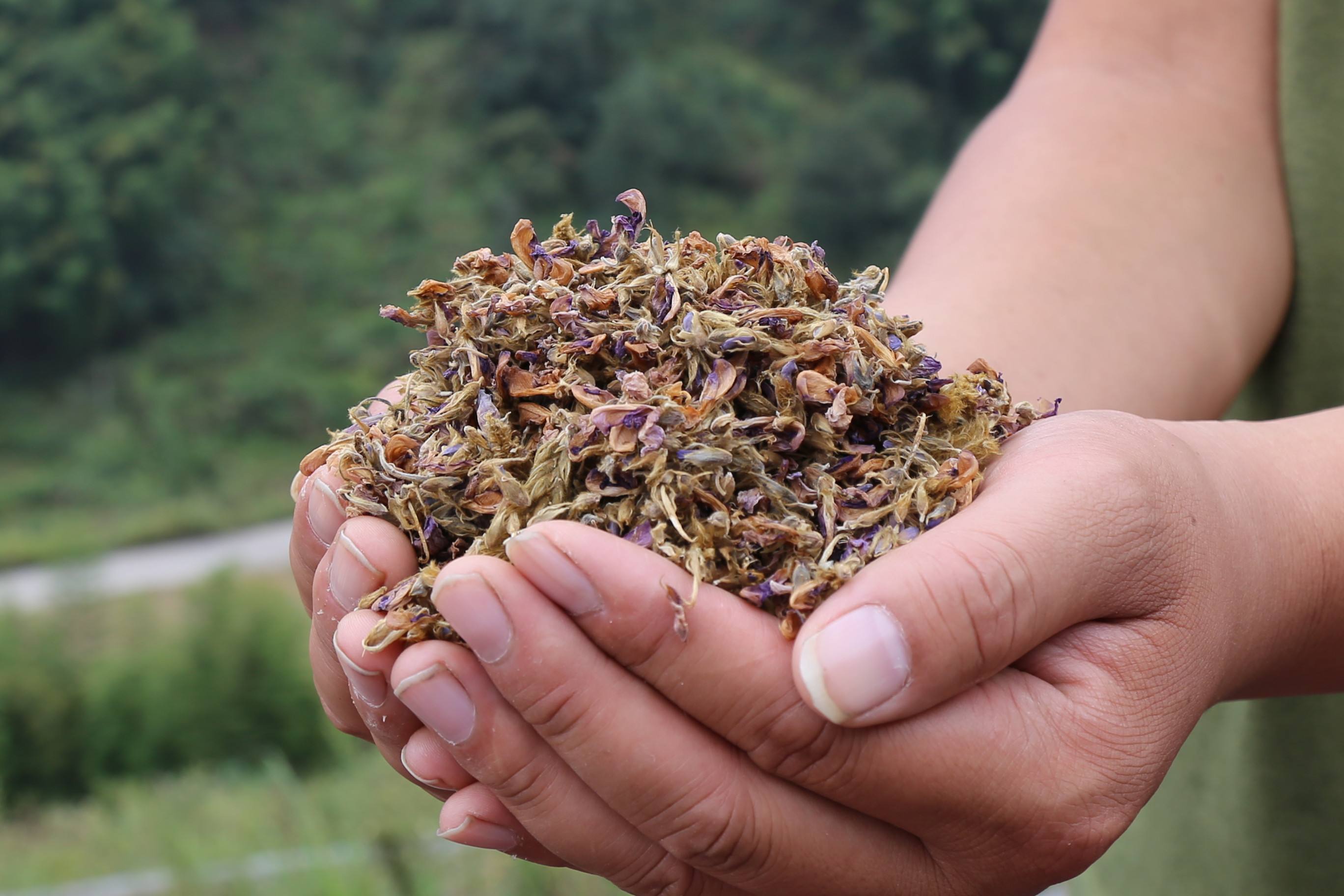 解酒醒酒产品年轻人接受度,解酒神器解酒啥原理