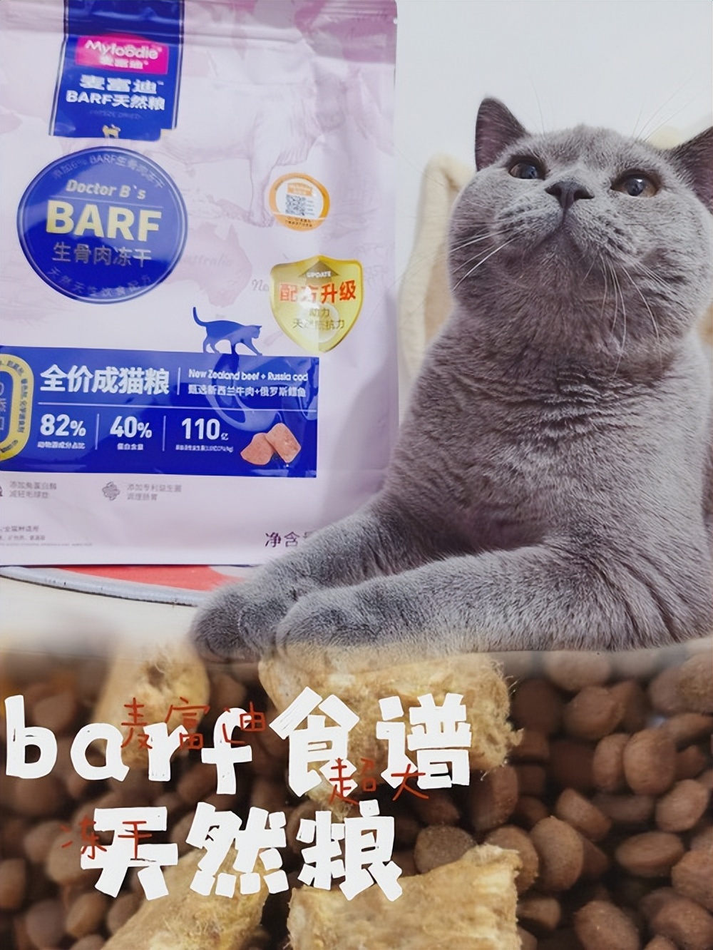 猫瘦怎么治,猫皮包骨