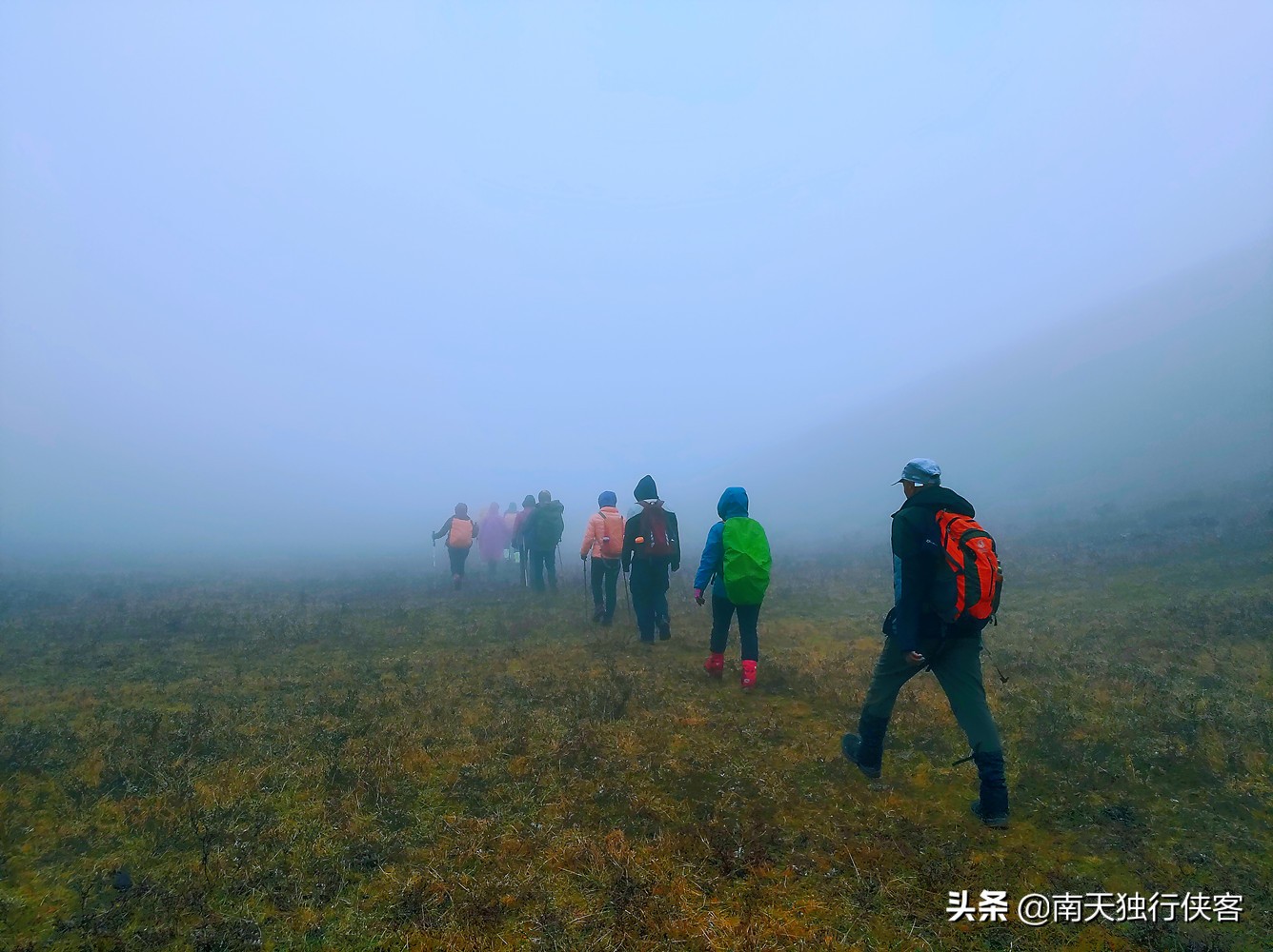 穿越时空美丽的云南,穿越迷雾丛林见美景