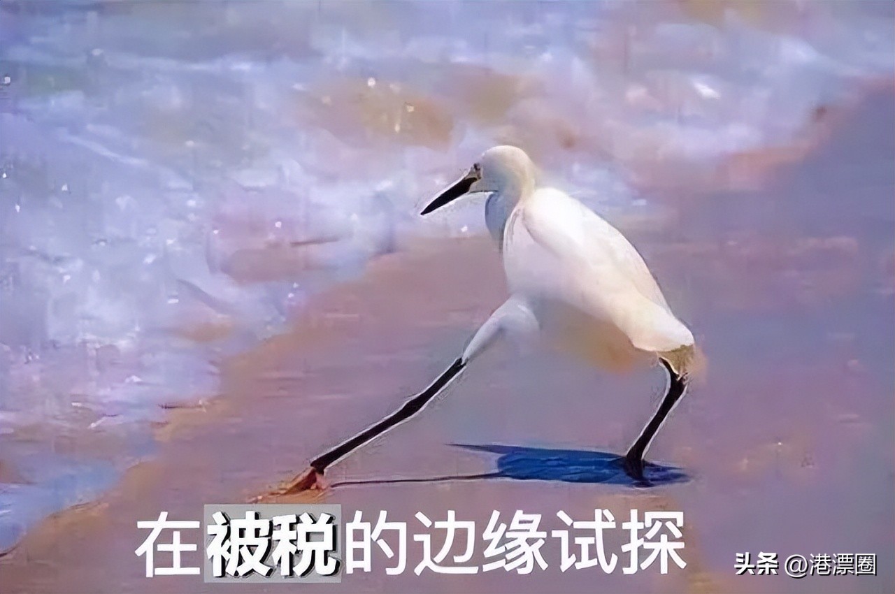 香港可以带一整箱药回去吗,从香港买点药可以带回去吗