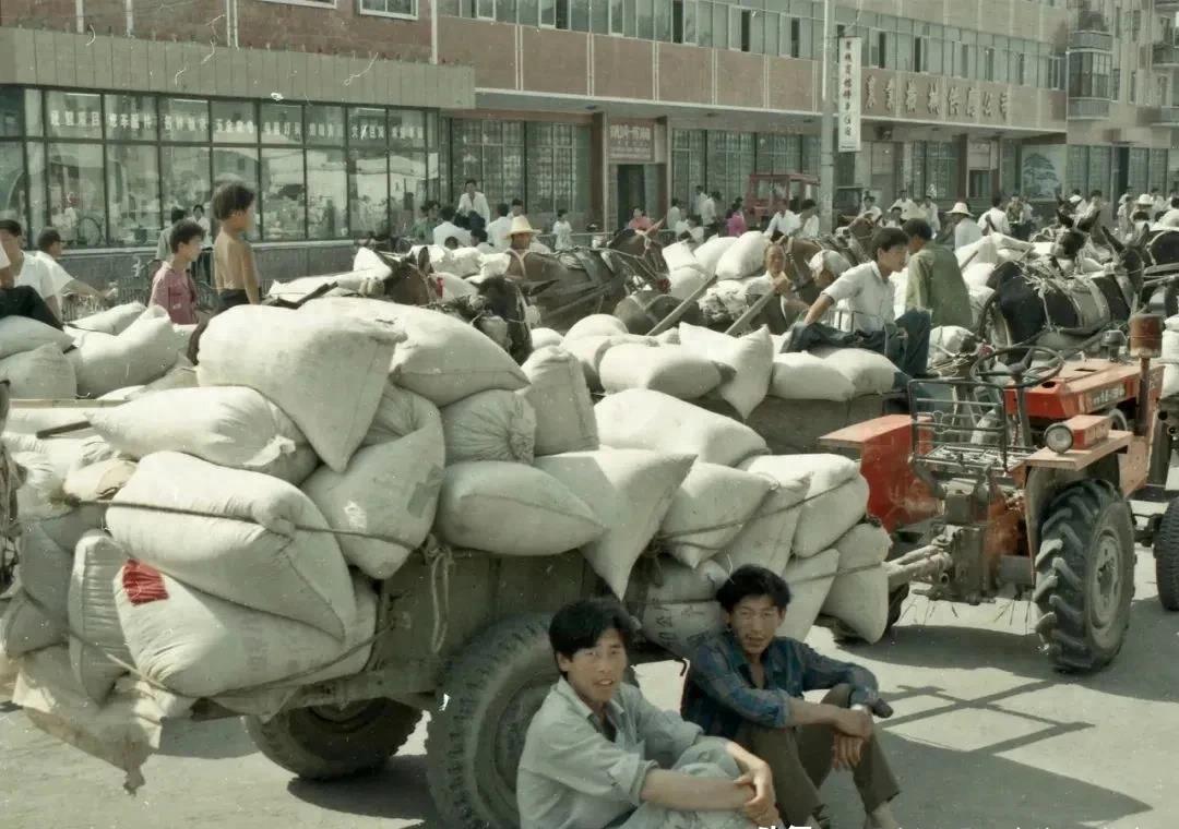 农民到底是怎样的人?你肯定想不到,农村小伙来告诉你真实答案!