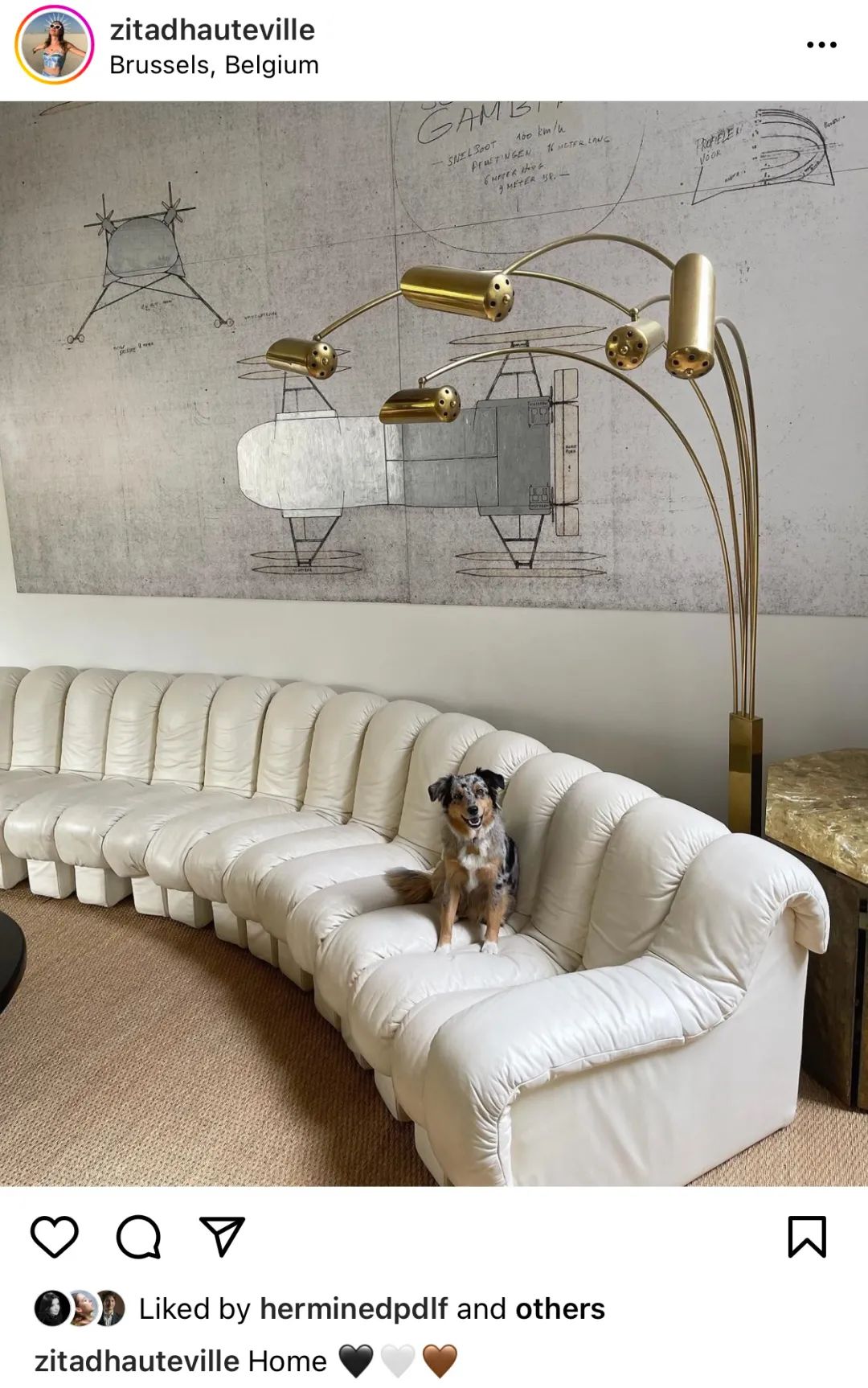 顶豪找贵族，LV家小公子的女友原来是伯爵之后…