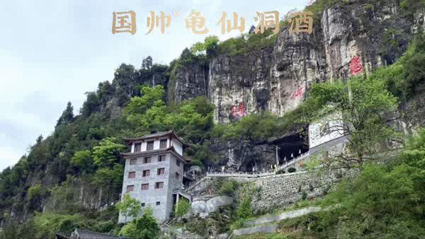 龟仙洞国帅酱酒,国帅酒和龟仙洞酒是同一个厂吗