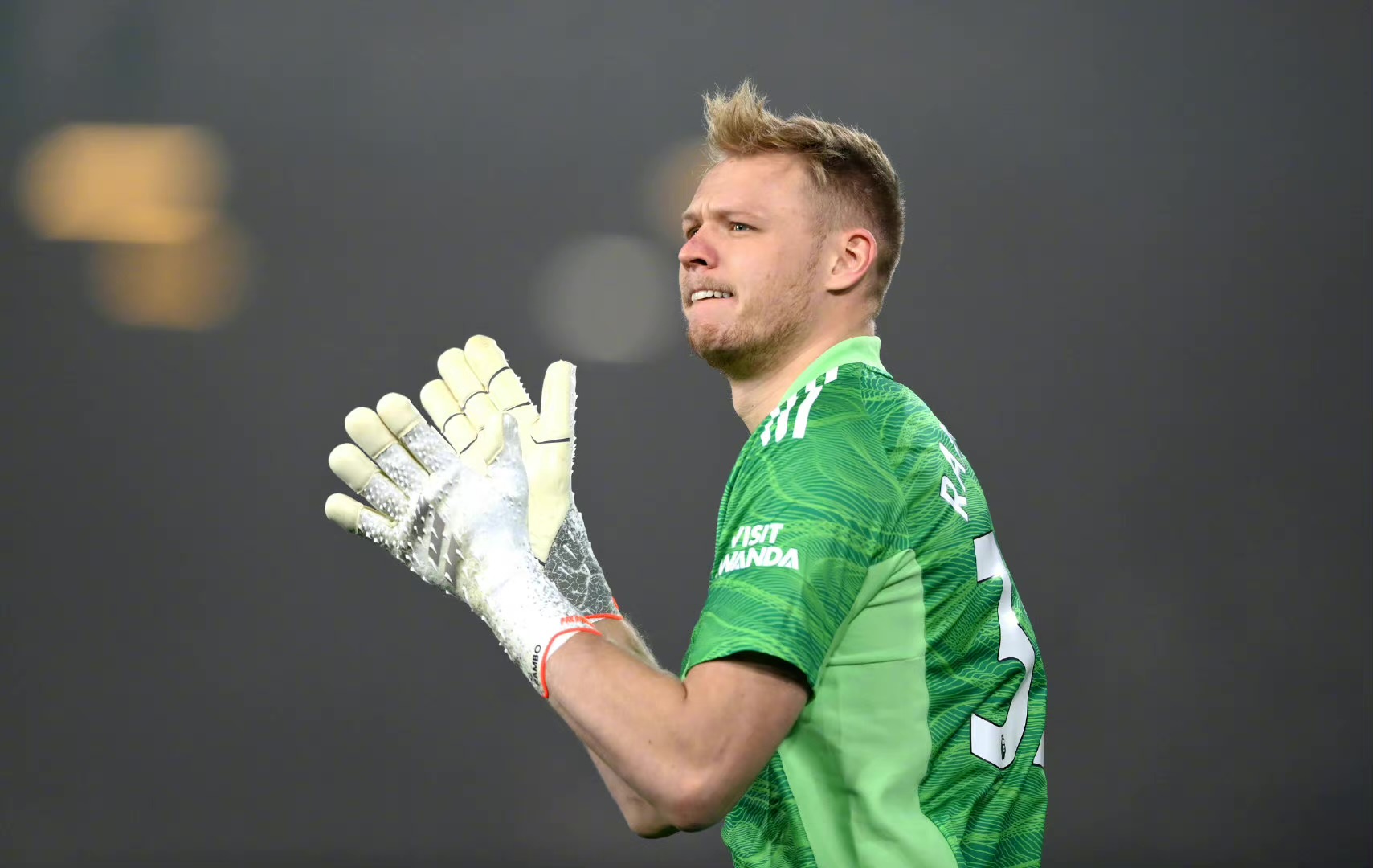 德赫亚埃德森阿利松哪个更厉害,埃德森和阿利松谁是巴西主力门将