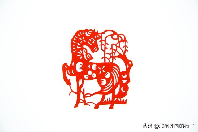 六月喜鹊报喜的三大生肖,未来七天喜鹊叫的三大生肖