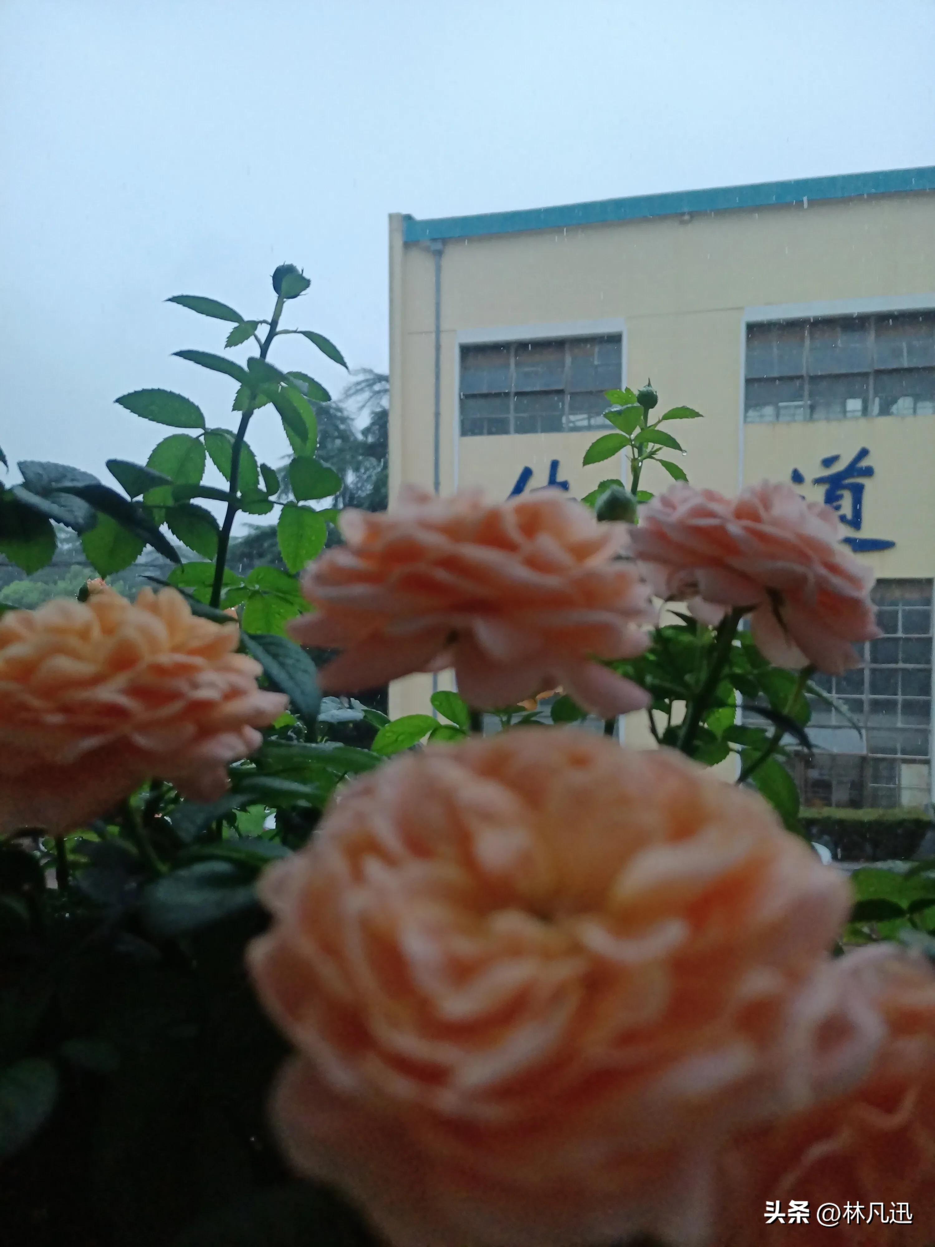 什么样的人适合炒股,不适合炒股的人