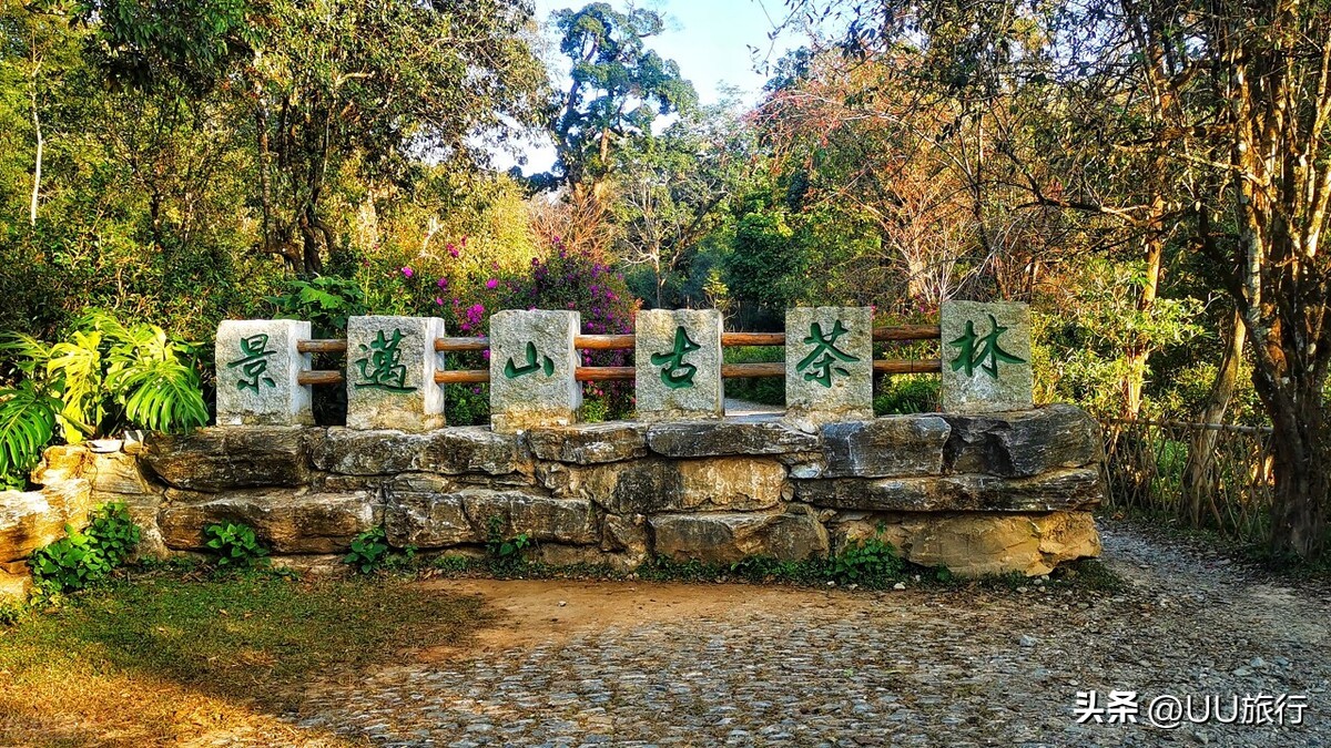 云南最值得去的八个地方,云南最值得去的七个地方