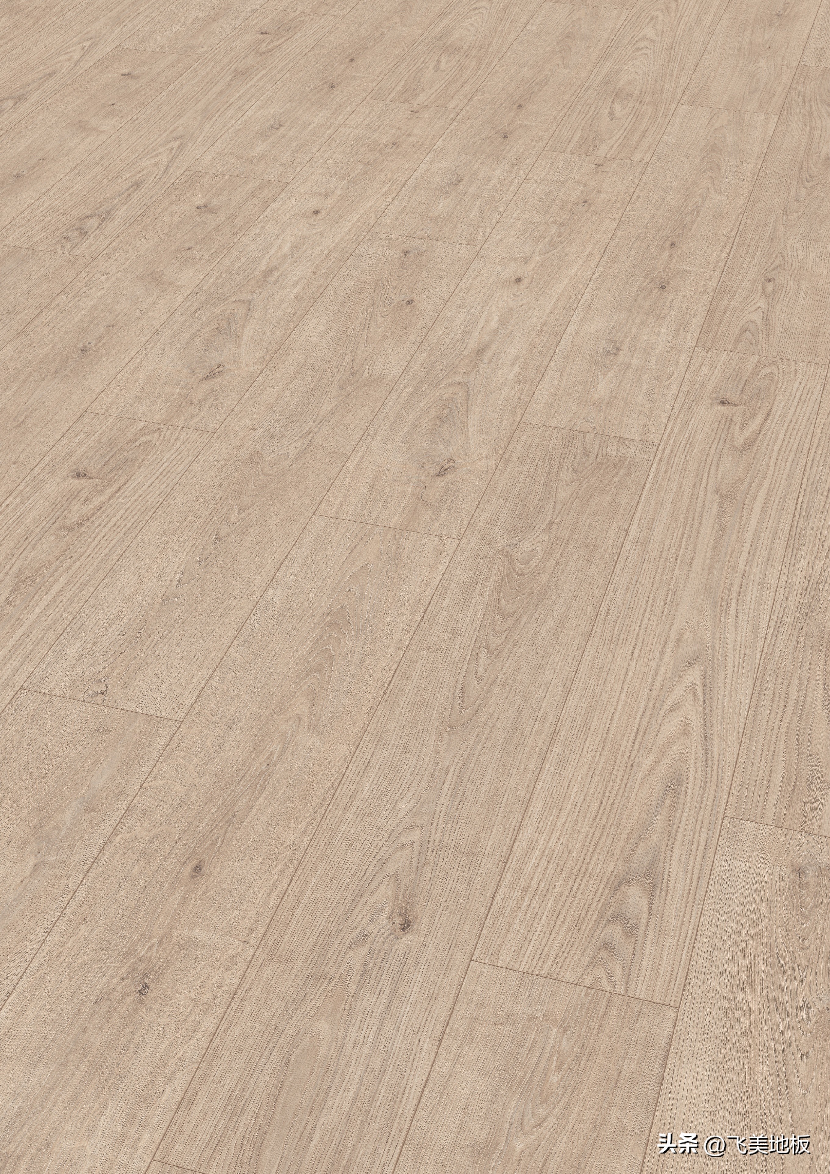 飞美爱格投影,飞美爱格是真的吗