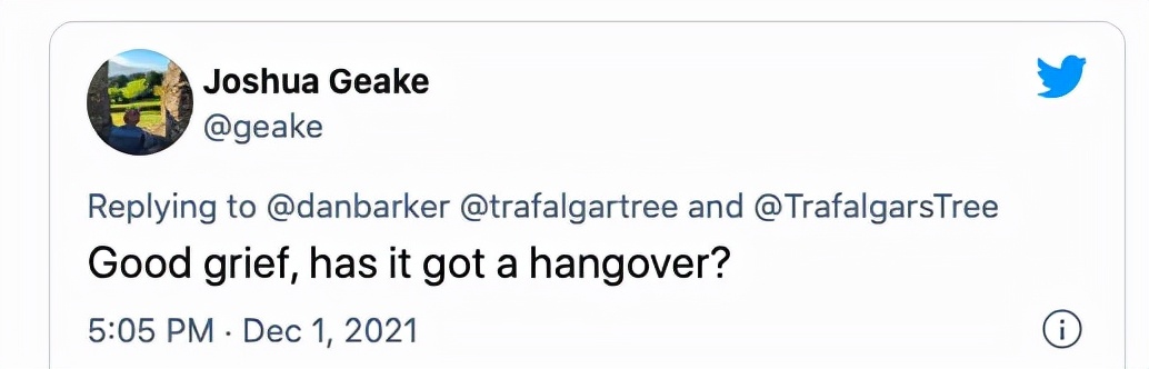 挪威给英国的圣诞树被吐槽,挪威英国圣诞树