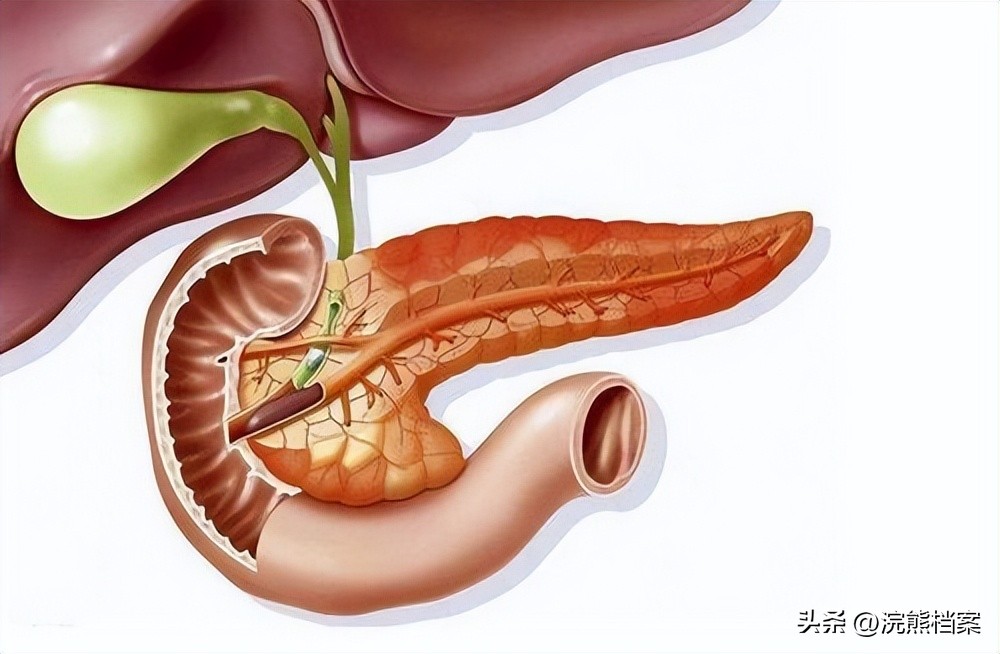 男子被确诊癌症暴瘦40斤,什么病被误诊为胰腺癌的几率大