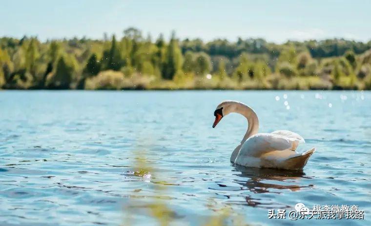 高效课堂的激励机制,高效课堂实施工作总结