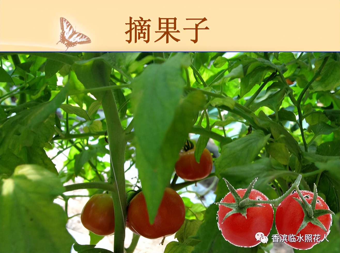 童话故事创编舞蹈2分钟,四年级创编童话故事龟兔赛跑