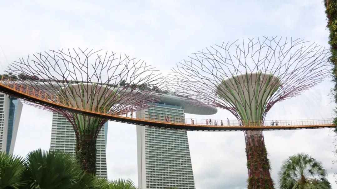 滨水休闲产业全球考察之旅(十一)新加坡滨海湾花园的新颖创意