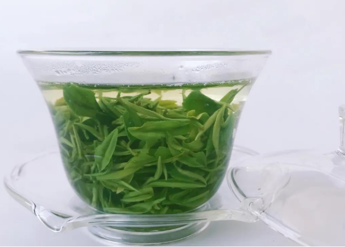 中国哪个地方的茶叶最好喝最正宗,目前全国最好的茶叶品种